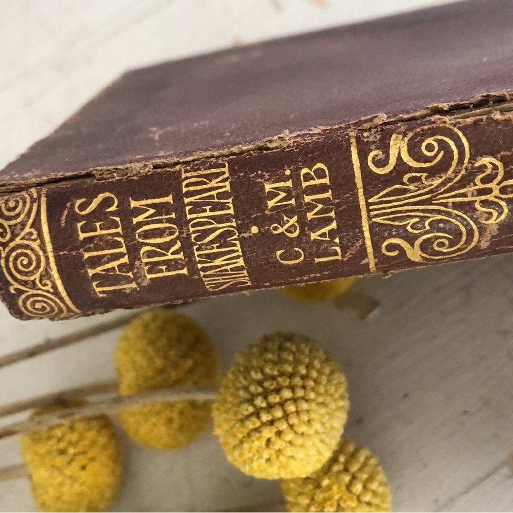 Vintage Tales from Shakespeare Book - Home Accents